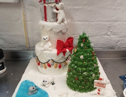 Polar party Christmas cake course (2 Sundays)