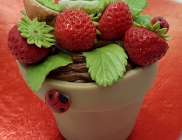 Strawberry Flower Pot Cake