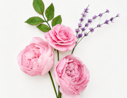More wafer paper flowers