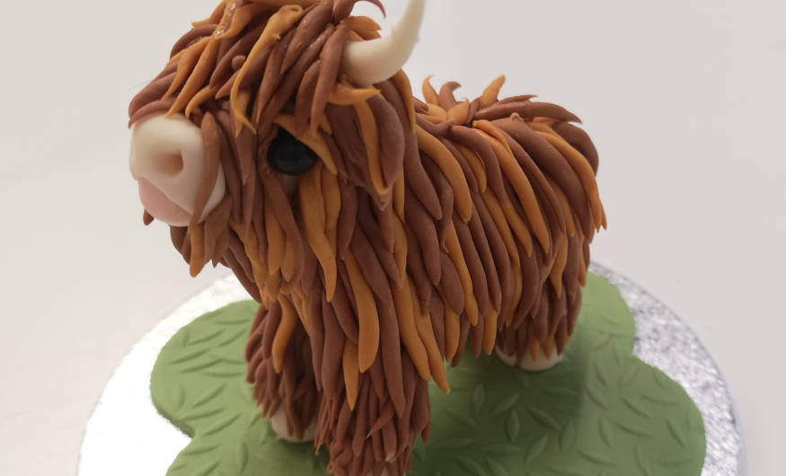 Rising Star Bakery & Cake AcademyHow to make a Highland Cow CakeArtistic  Cakes