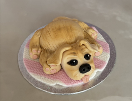 Mini puppy cake