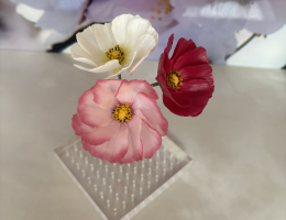 Cosmos - wired flower