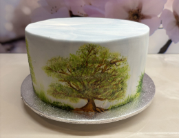 Hand-painted cake class