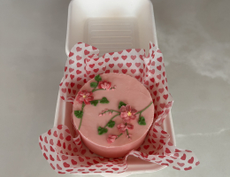 Bento Cake Class