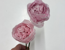 More wafer paper flowers