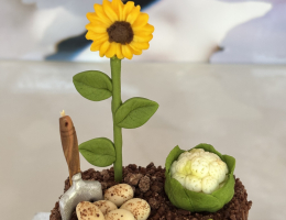Mini allotment cake