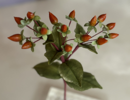 Hypericum berries, wired spray